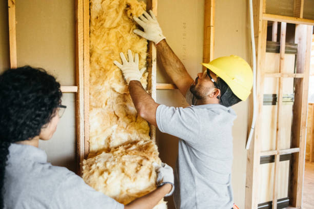 Best Eco-Friendly or Green Insulation Solutions  in Manchester, MI